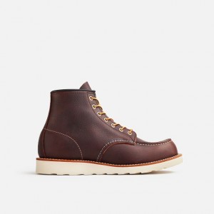 Red Wing 6-Inch Boot in Briar Oil-Slick Leather | JXV-843076